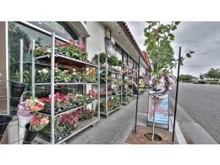 3876 3876 El Camino Real, Palo Alto CA: https://media.crmls.org/mediaz/bab557e4-928d-47e8-a0e6-29d41fcbb7de.jpg
