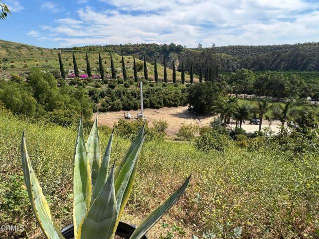 Detail Gallery Image 32 of 39 For 7907 Balcom Canyon Rd, Somis,  CA 93066 - – Beds | – Baths