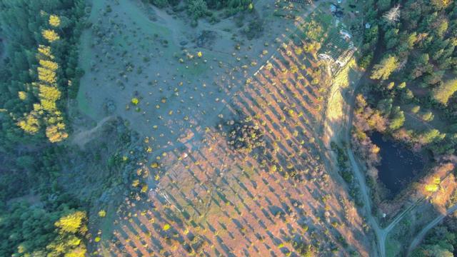 47211 Fox Rock Road, Laytonville CA: https://media.crmls.org/mediaz/bab7feba-0a32-40fc-a9d9-dbb39c9b2076.jpg