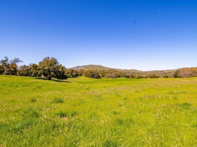 Detail Gallery Image 36 of 42 For 342 Acres Mesa Grande Rd, Santa Ysabel,  CA 92070 - – Beds | – Baths