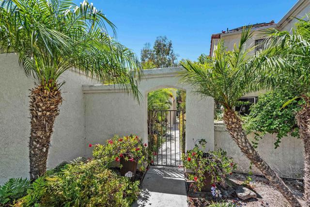 15462 Avenida Rorras, San Diego CA: https://media.crmls.org/mediaz/bac46407-efc5-4d7c-ab80-a626f9c7a0a5.jpg
