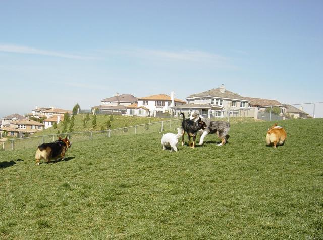 Detail Gallery Image 49 of 50 For 1717 Thorley Way, San Marcos,  CA 92078 - 4 Beds | 2/1 Baths