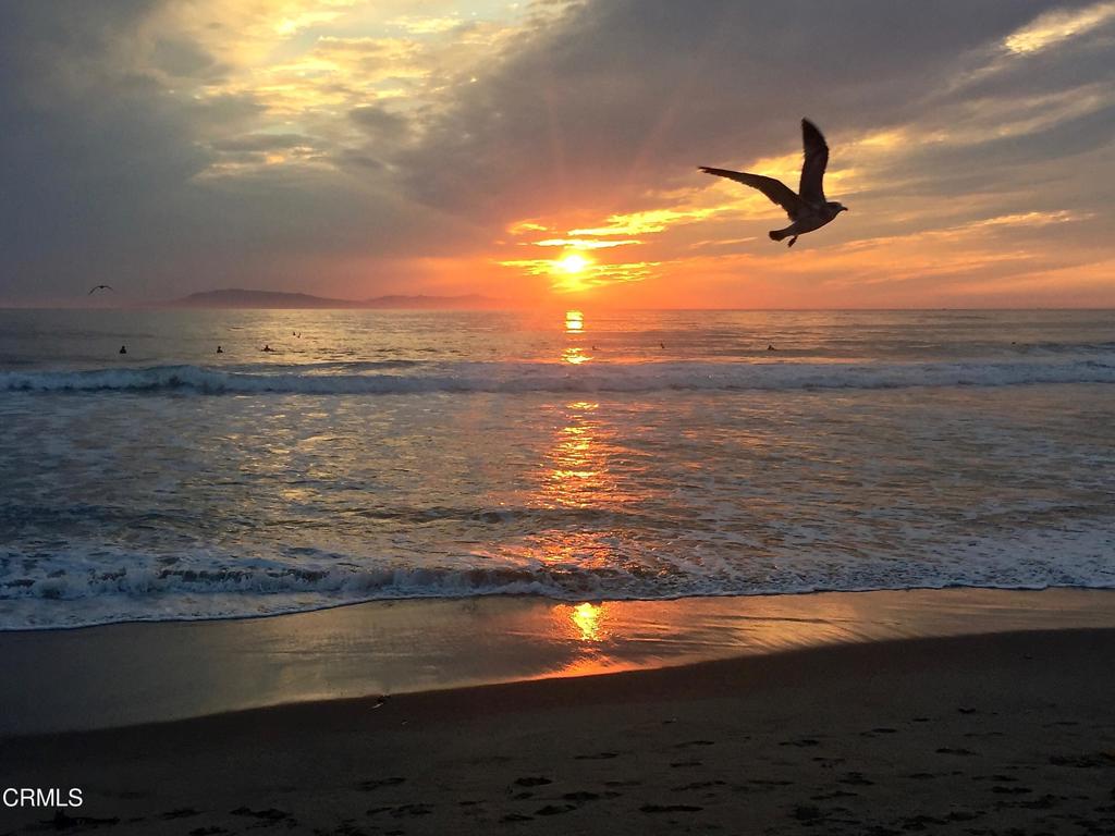 MLS #V1-32757 image #36