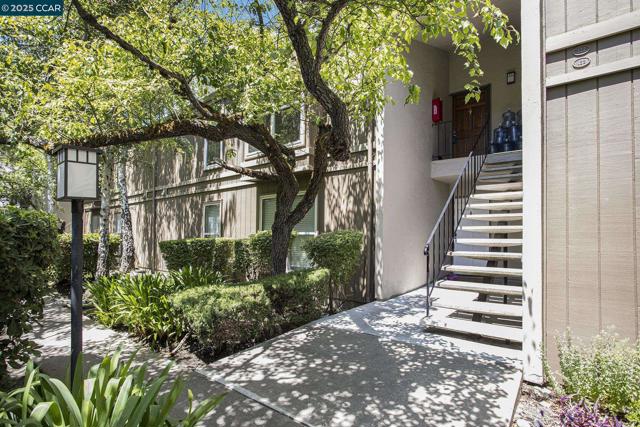 2075 Ascot Dr, Moraga CA: https://media.crmls.org/mediaz/bad618b9-3725-481f-85c6-4b102fa2fa11.jpg