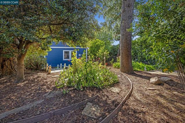 3505 Euclid Ave, Concord CA: https://media.crmls.org/mediaz/bae1090c-c3a3-4862-add4-4037edbc0abb.jpg