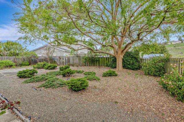 3695 Skyline Drive, Hayward CA: https://media.crmls.org/mediaz/bae8c7cf-f60f-4c67-a320-1355d905c8f9.jpg