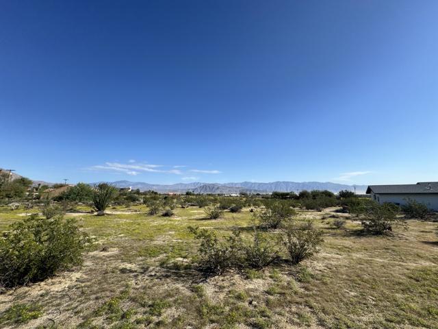 View from Back of Property
