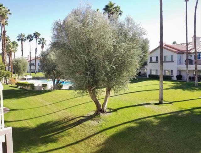 319 Vista Royale Drive, Palm Desert CA: https://media.crmls.org/mediaz/baff1d9b-45c3-4a44-8f83-d328135337e3.jpg