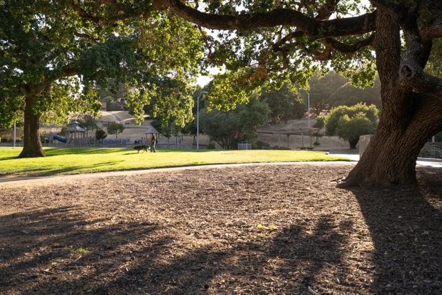 1406 Cedarwood Drive, San Mateo CA: https://media.crmls.org/mediaz/bb0d7f50-874b-4e5e-b39b-04f8013e8783.jpg