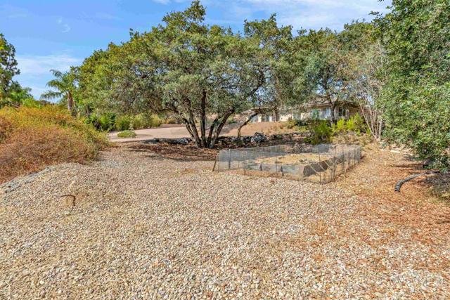 2461 Denova Drive, Alpine CA: https://media.crmls.org/mediaz/bb144696-e532-4879-bd4c-eb2c3b9fe24f.jpg