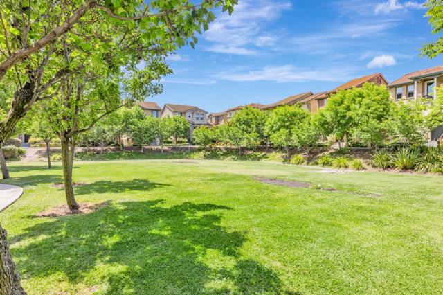 49002 Cinnamon Fern, Fremont CA: https://media.crmls.org/mediaz/bb180280-d13b-4af8-a666-9c9c93aebb57.jpg
