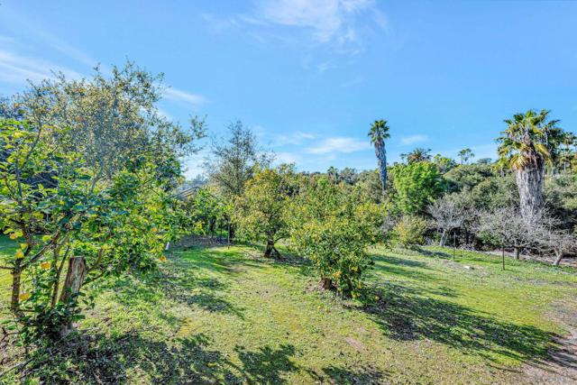 1761 Winterwarm Dr, Fallbrook CA: https://media.crmls.org/mediaz/bb1852bd-d004-4a82-97c6-5af4454cb390.jpg