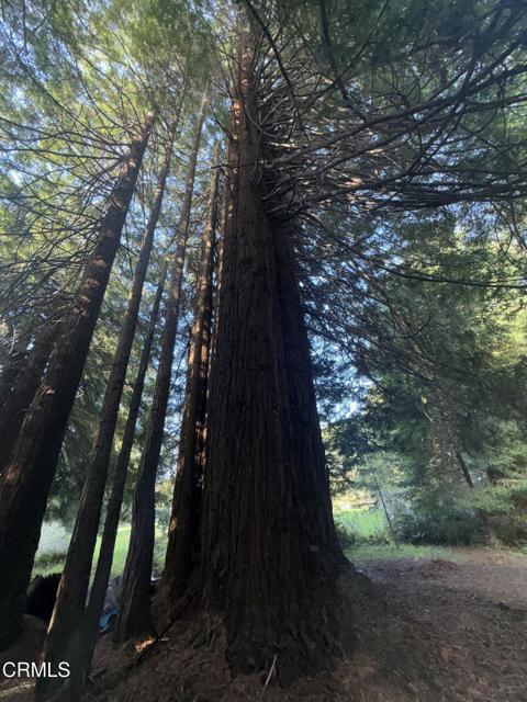31750 Pudding Creek Road, Fort Bragg CA: https://media.crmls.org/mediaz/bb18f61c-f9fe-4d78-bcff-c116c5781d4e.jpg