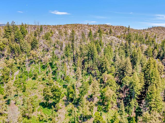 0 Memory, Boulder Creek CA: https://media.crmls.org/mediaz/bb22af04-ace5-4d01-8c5f-ffcbd9f2b28d.jpg