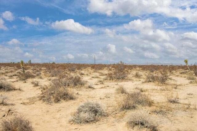 210 Kuna Avenue, Landers CA: https://media.crmls.org/mediaz/bb2452b9-37e8-488d-96a3-68fb23763b00.jpg