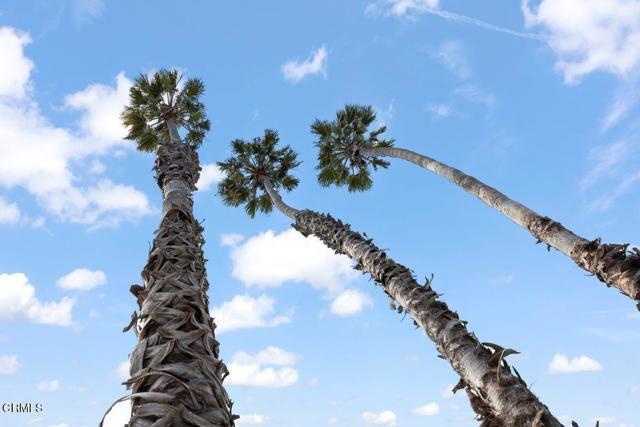 445 Mara Avenue, Ventura CA: https://media.crmls.org/mediaz/bb28c2d1-46aa-4071-a178-44d951689325.jpg