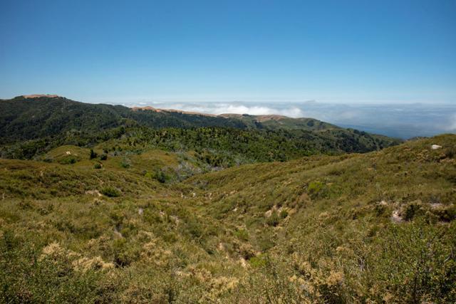 38805 Palo Colorado Road, Carmel CA: https://media.crmls.org/mediaz/bb2a68fc-0c97-4bbd-9cb3-5909b0b80bda.jpg