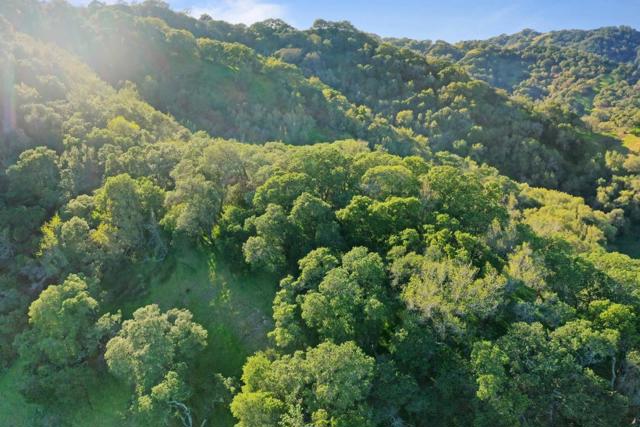 3533 Springhill Road, Lafayette CA: https://media.crmls.org/mediaz/bb2aa002-1d0a-4f5d-b2b0-16f21a6cb13e.jpg