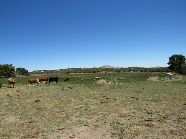 Detail Gallery Image 43 of 47 For 200 Acres Mccain Valley Rd, Boulevard,  CA 91905 - – Beds | – Baths