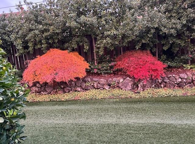 22408 Balustrol Court, Cupertino CA: https://media.crmls.org/mediaz/bb2df696-4bd7-4fcc-88d2-e8d7e9a73fa7.jpg