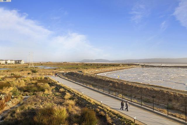 Image 32 of 39 For 9572 Seawind Way