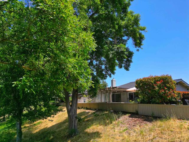 727 Paradise Valley Ct, Danville CA: https://media.crmls.org/mediaz/bb326c8a-ba13-4223-854c-84c7acaa0aa6.jpg
