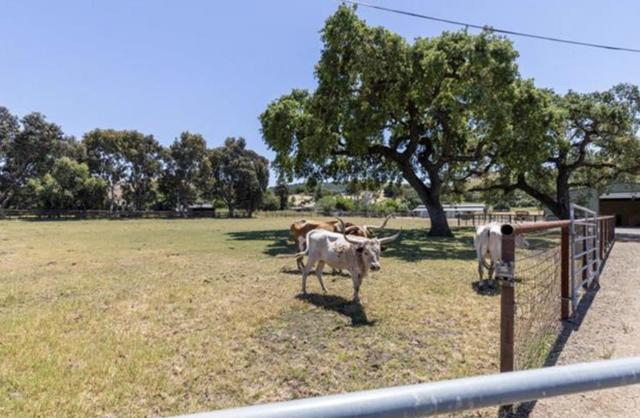 19963 Hale Avenue, Morgan Hill CA: https://media.crmls.org/mediaz/bb339616-0120-4321-9f4c-c95544987dcb.jpg