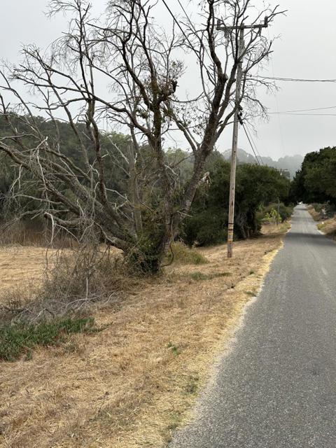 216 Tucker Road, Royal Oaks CA: https://media.crmls.org/mediaz/bb350eac-b02f-4112-a7a4-38a2633f1f9f.jpg