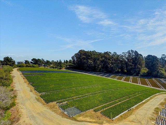 117 Rancho Road, Watsonville, California 95076, ,Commercial Sale,For Sale,Rancho,ML81883303