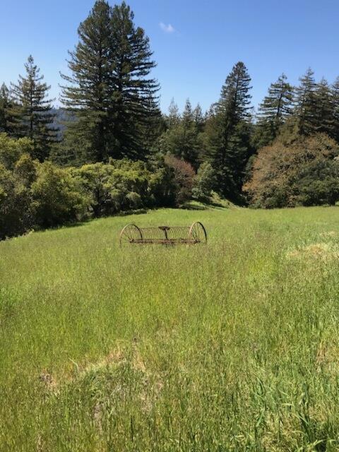 Image 34 of 58 For 1560 Tindall Ranch Road