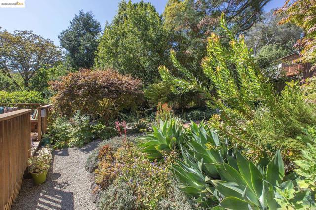 1081 Keith Ave, Berkeley CA: https://media.crmls.org/mediaz/bb4c142f-e8c1-421e-8480-5de4c50a7817.jpg