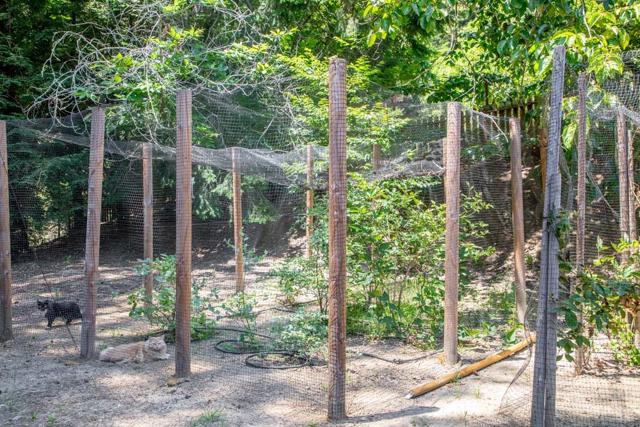350 Aurora Road, Soquel CA: https://media.crmls.org/mediaz/bb5cf739-9608-4d1d-9ead-13d4de9b5492.jpg