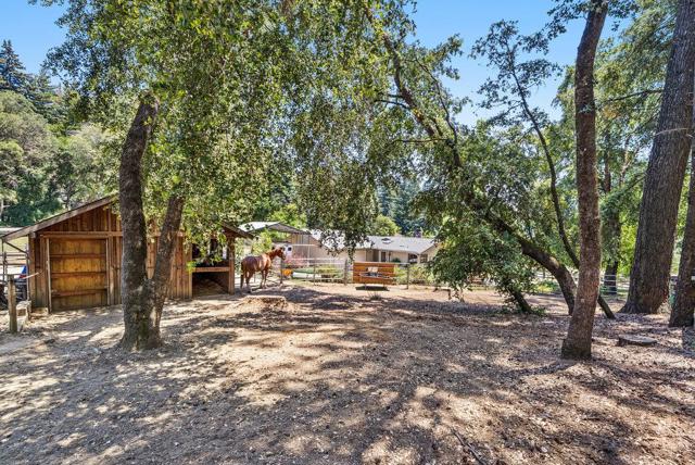 50 Nichols Drive, Santa Cruz CA: https://media.crmls.org/mediaz/bb62a84c-df15-47de-9107-ed074b2a071f.jpg