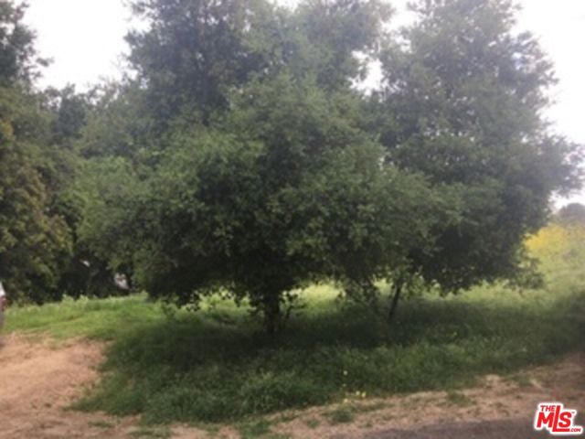 0 Aster Trail Rd. photo 2