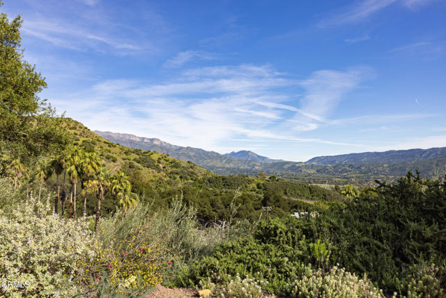 Detail Gallery Image 38 of 42 For 1417 Foothill Rd, Ojai,  CA 93023 - 4 Beds | 3 Baths