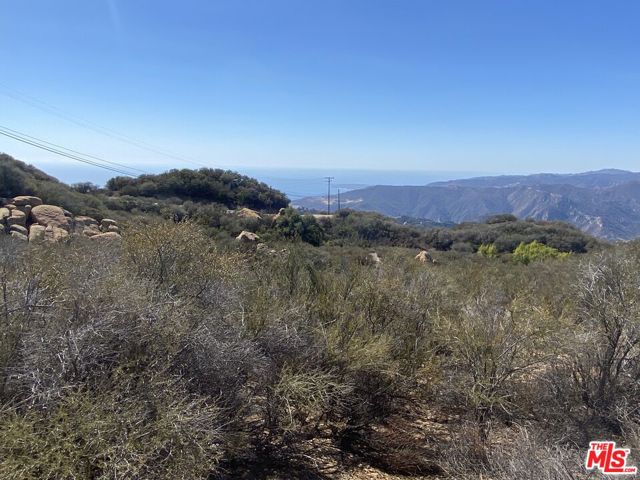 0 W Saddle Peak photo 2