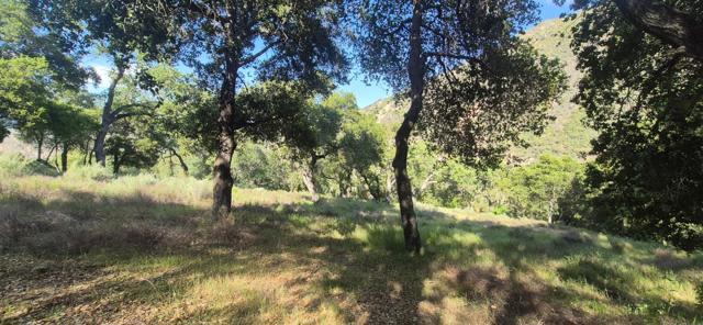 30010 Olivia Drive, Greenfield CA: https://media.crmls.org/mediaz/bb73ae28-fef5-4fc9-a763-07a22bb7c3fb.jpg