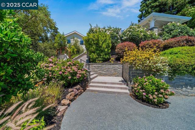 33 Los Arabis Circle, Lafayette CA: https://media.crmls.org/mediaz/bb77118a-3b05-449e-bbe1-dbc6b72867fb.jpg
