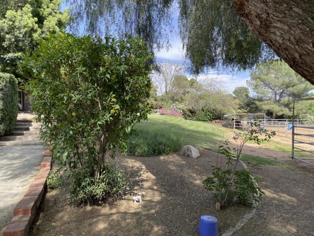 Image 49 of 60 For 38540 38540 Alva Drive