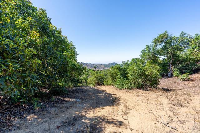 0 Wilt Road, Fallbrook CA: https://media.crmls.org/mediaz/bb7ae6f3-f300-4f42-bbce-eafdb6ff632f.jpg