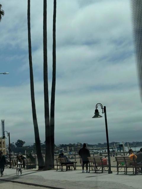 356 Everson Drive, Santa Cruz CA: https://media.crmls.org/mediaz/bb8119c1-4aea-4e79-aecc-403e56792355.jpg