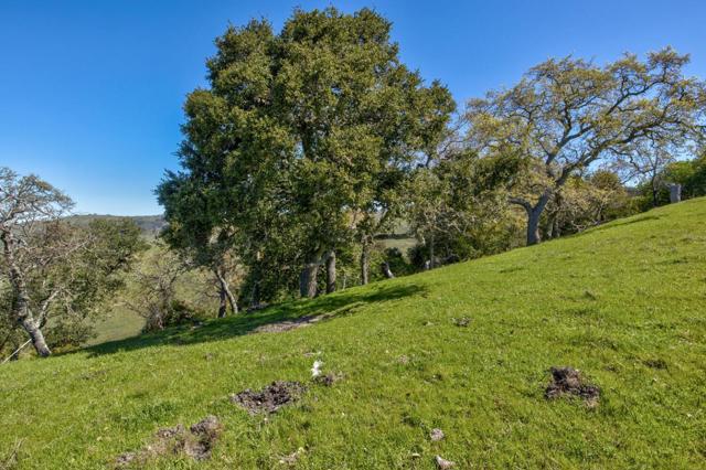 0 Bella Madeira Lane, San Jose CA: https://media.crmls.org/mediaz/bb8287eb-07f9-4b66-bd73-f3529f9fb6d9.jpg