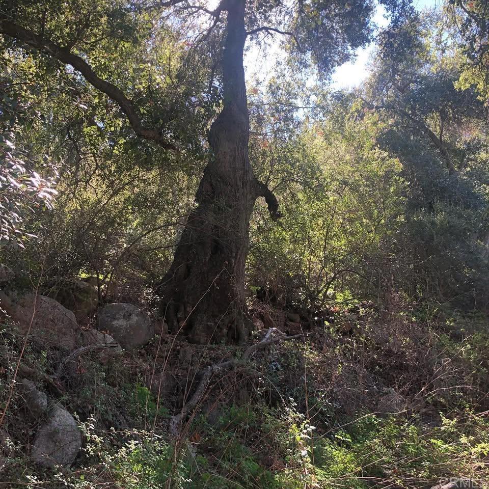 MLS #NDP2403618 image #15