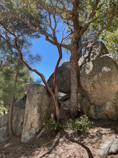 0 Northridge, Idyllwild CA: https://media.crmls.org/mediaz/bba53186-ccd5-4083-9a55-57e4cf80516f.jpg