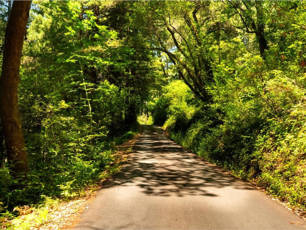 https://media.crmls.org/mediaz/bbb2b0fa-b373-434e-8b4a-eaaee2144c1a.jpg?preset=X-Large