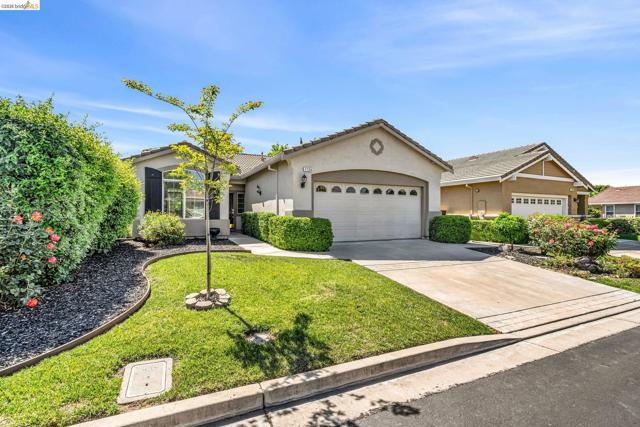 1124 Jonagold Way, Brentwood (CC) CA: https://media.crmls.org/mediaz/bbb5b095-1f94-4e34-8180-7323f5cd3300.jpg