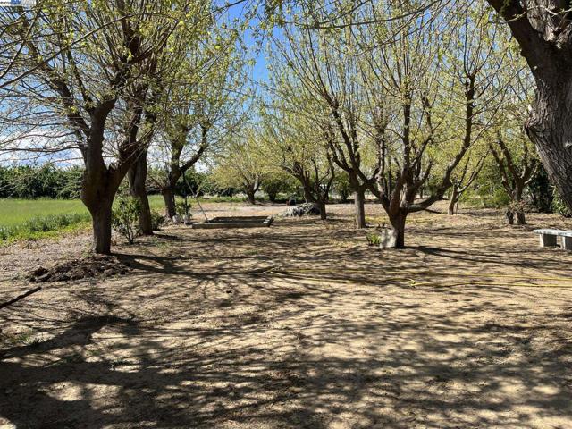 1290 Orange Ave, Patterson CA: https://media.crmls.org/mediaz/bbb9dcf9-8a76-4da6-8387-a974c39261c0.jpg