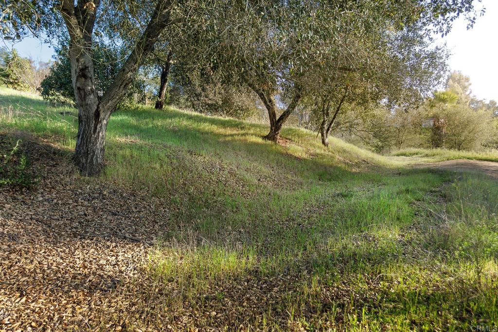 MLS #NDP2506437 image #9