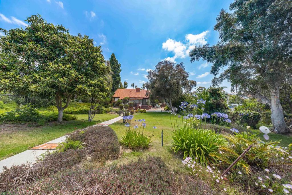 245 Loma Corta Drive - photo 5