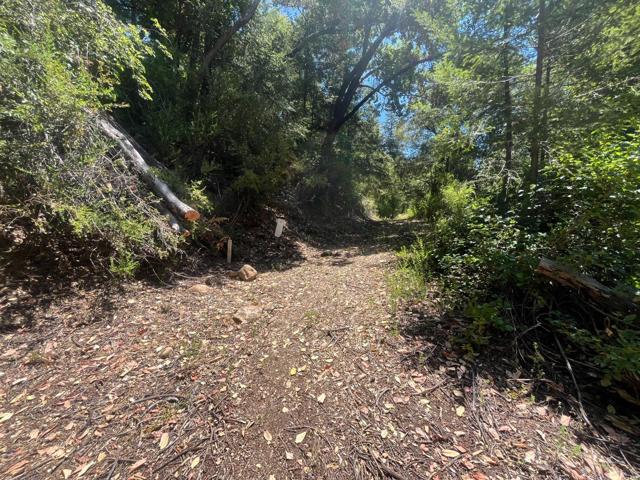 0 Deer Creek (Lot 21), Boulder Creek CA: https://media.crmls.org/mediaz/bbcab0d4-7fbd-49a3-ad19-85b12bd53557.jpg